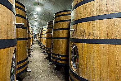 好评如潮心理恐怖Mate新游《米塔》推出拍照模式